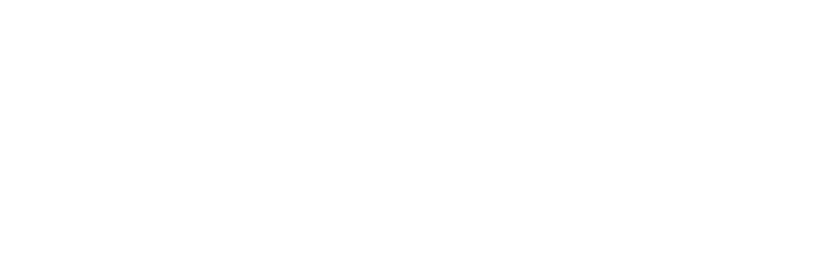 desibiz.nl
