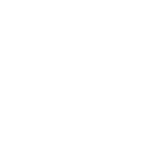 King of India